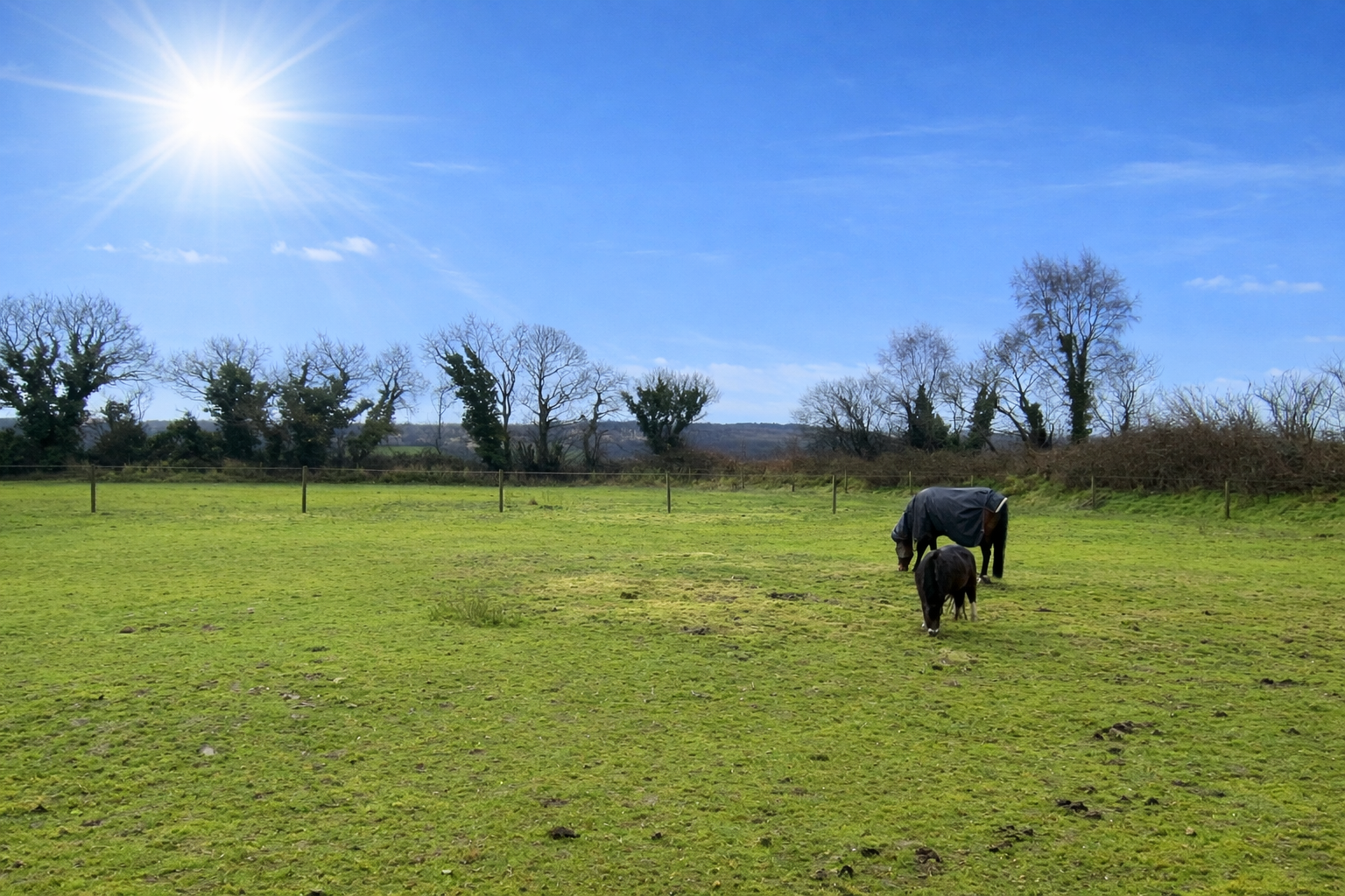 Quimper 10 mn, Rénovation Qualitative & Aboutie Pour Rare  Propriété Equestre sur 11 500 m²