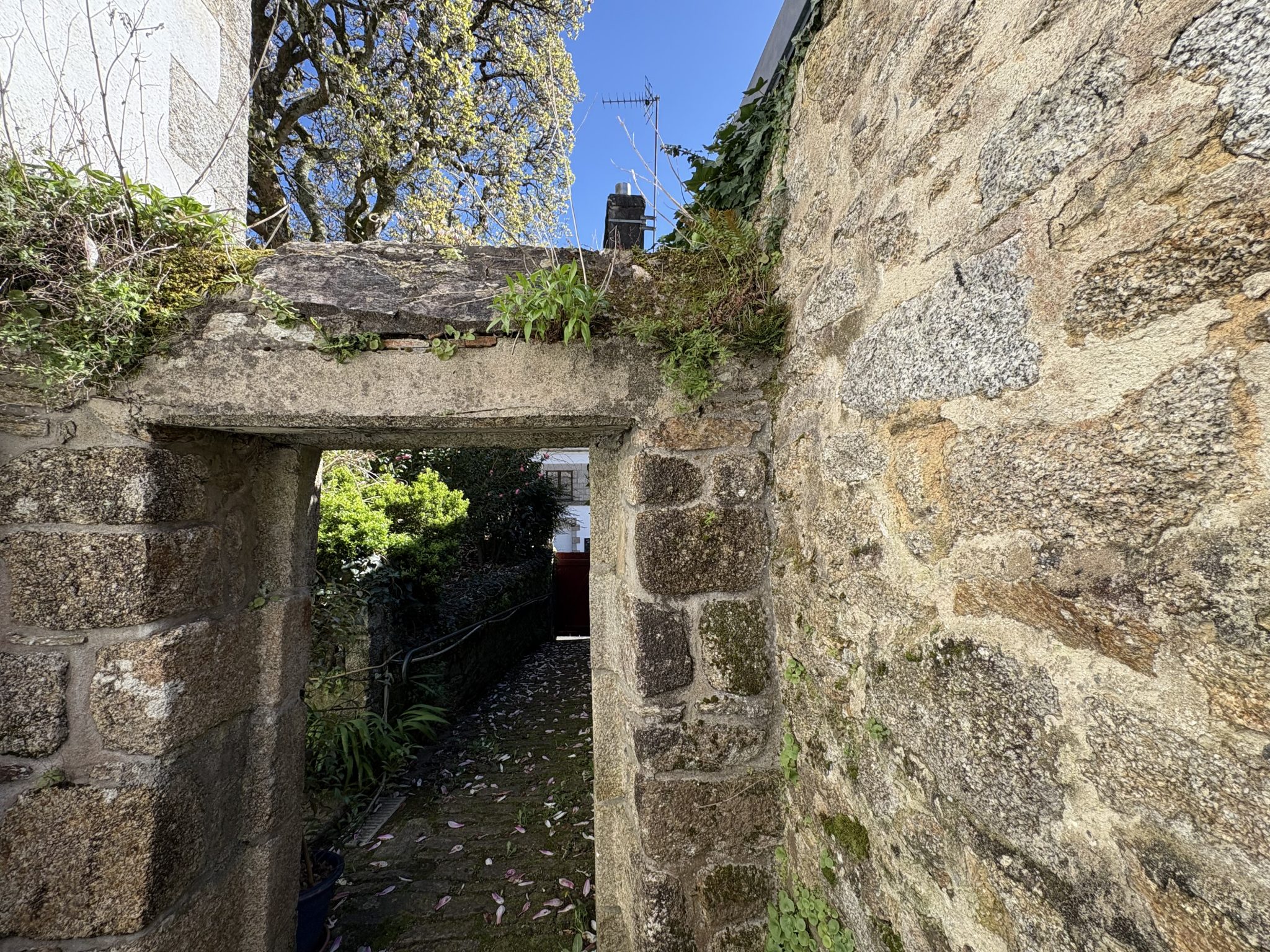 Au Coeur du Centre-Ville de Pont-Aven, Maison de Maître du XIXe Siècle Avec Jardin Clos de Murs. RARE!