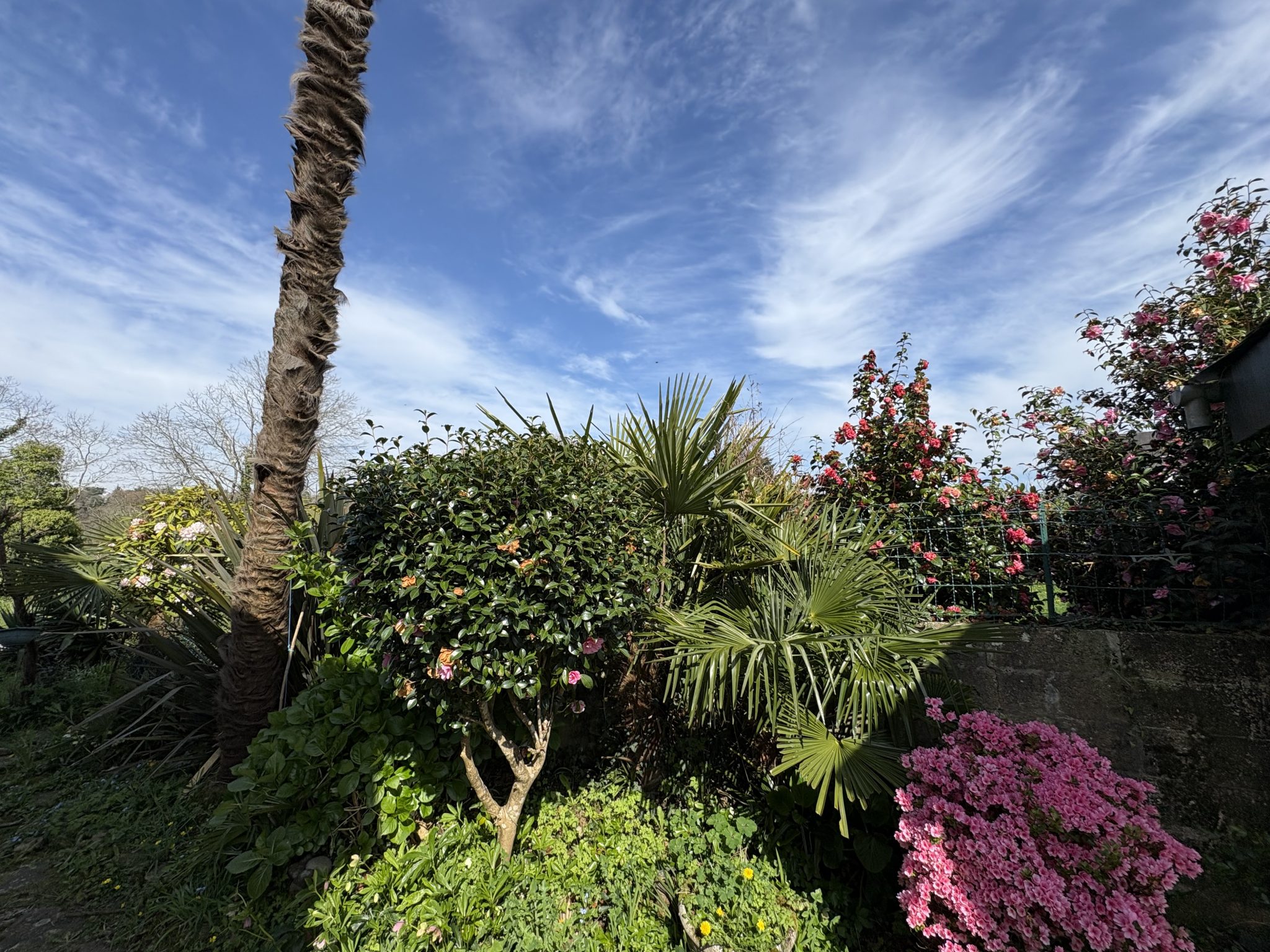 Landudal 10 min de Quimper, Maison Des Années 1950 A Rénover Entièrement Avec Garage & Jardin