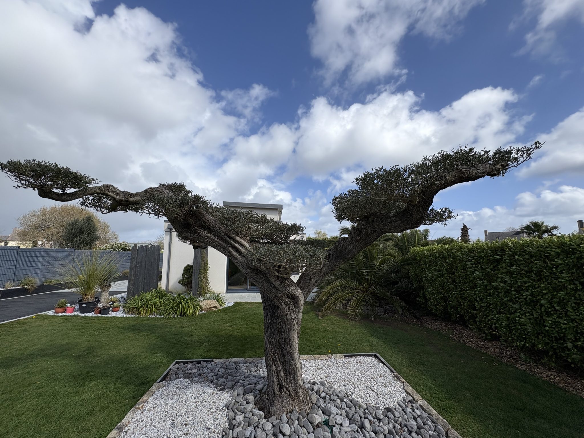 Plonéour-Lanvern, La Parfaite Maison Contemporaine Aux Prestations Haute-Couture &  Son Jardin Hollywoodien