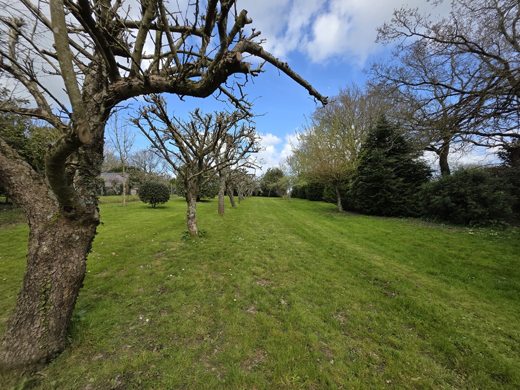 Plonéour Lanvern, Ensemble immobilier de 3 maisons dans un Parc Paysagé de 3 hectares