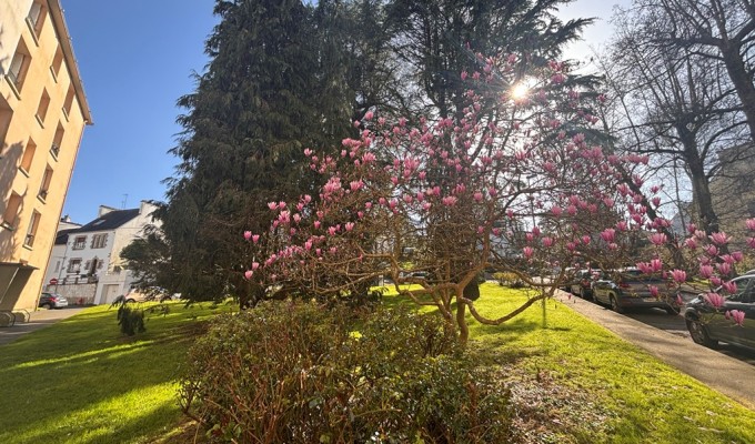 Quimper Proche du Centre Ville L’Appartement T3 Avec Locataire en Place Aucun Travaux A Prévoir