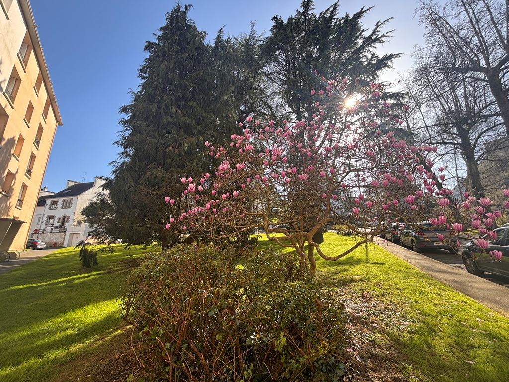 Quimper Proche du Centre Ville L’Appartement T3 Avec Locataire en Place Aucun Travaux A Prévoir