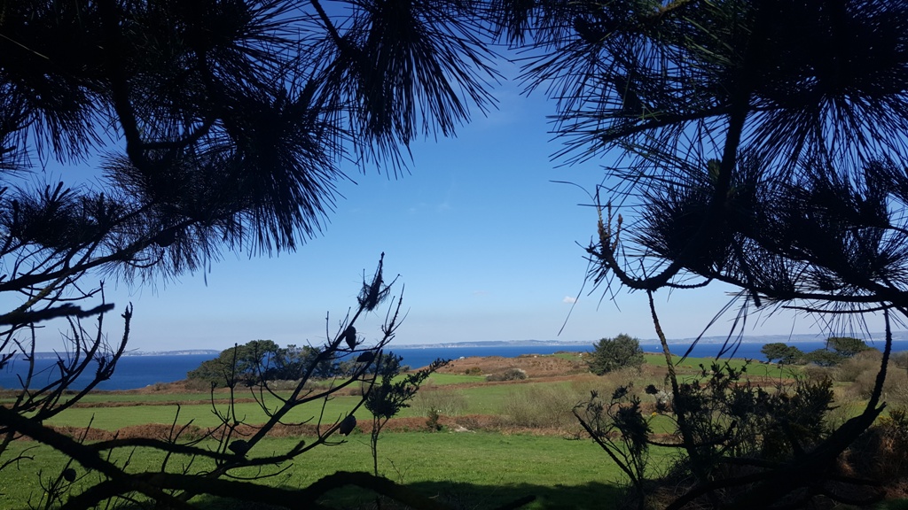 Exclusivité Agence. Poullan-Sur-Mer. Écrin de Charme &Vue Mer – Art de Vivre Entre Nature & Horizon