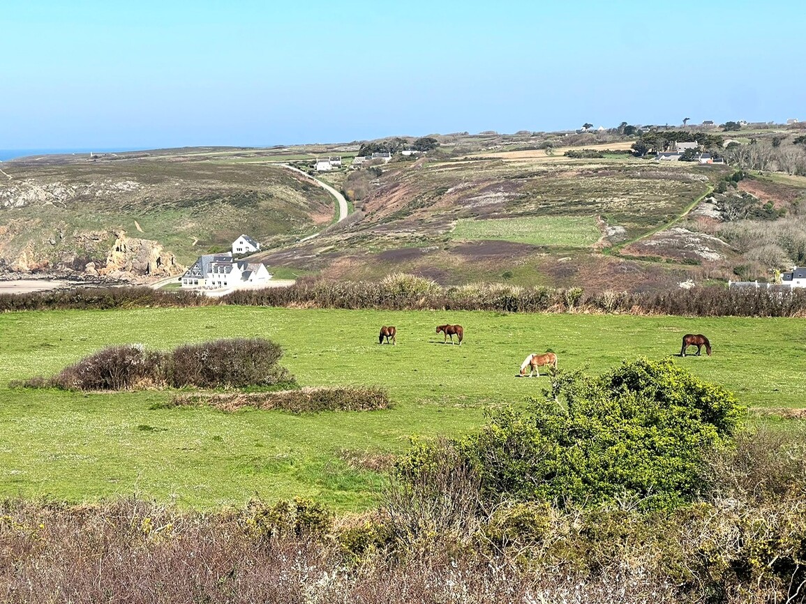 Plogoff – Charmante Maison de 110 m² avec Vue sur la Baie des Trépassés & Accès Sentier Côtier GR34