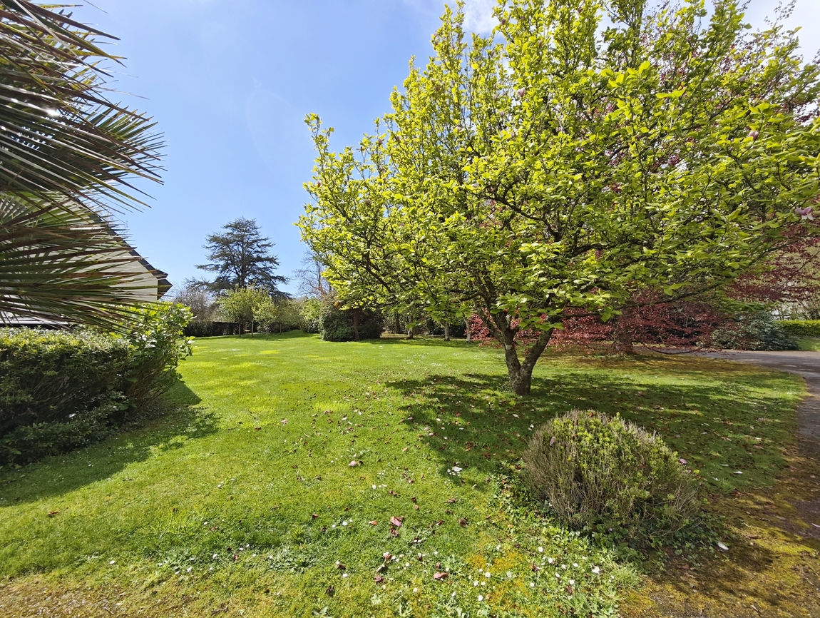 Concarneau. Rare & Confortable Maison d’Architecte (200 m2) aux 5 Chambres & son Parc Paysagé de 4800 m2.