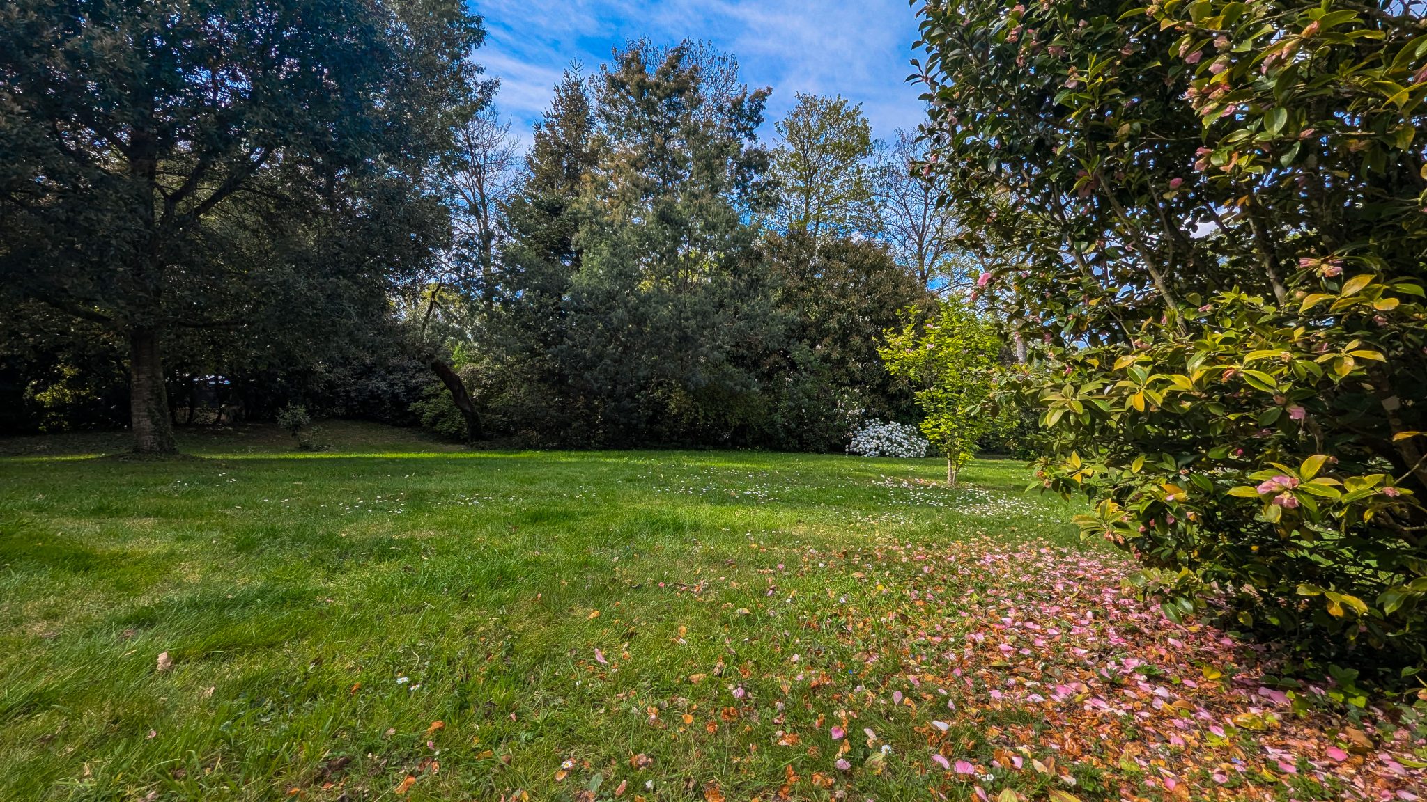 Ploërmel Hyper-Centre – Confidentielle & Rare Propriété Familiale de 240 m² avec Parc de 3 000 m²
