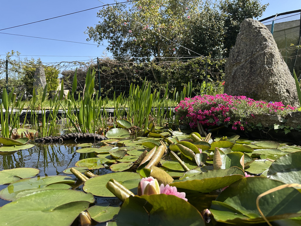 Au Coeur du Centre-Ville de Baye- Généreuse Maison Familiale de 140m² Sur Terrain Paysagé de 1000m² !