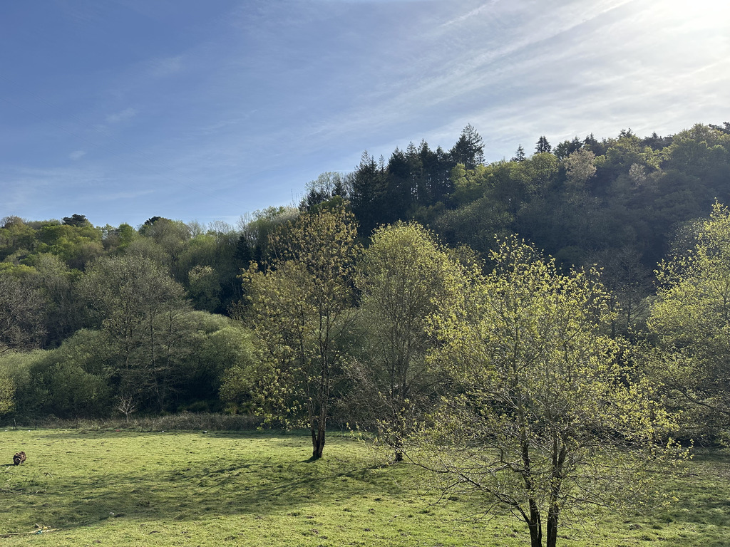 Mellac, L’ Authentique  & Généreuse Longère de 240m² dans un Havre de Paix sur Parc de 7000m²