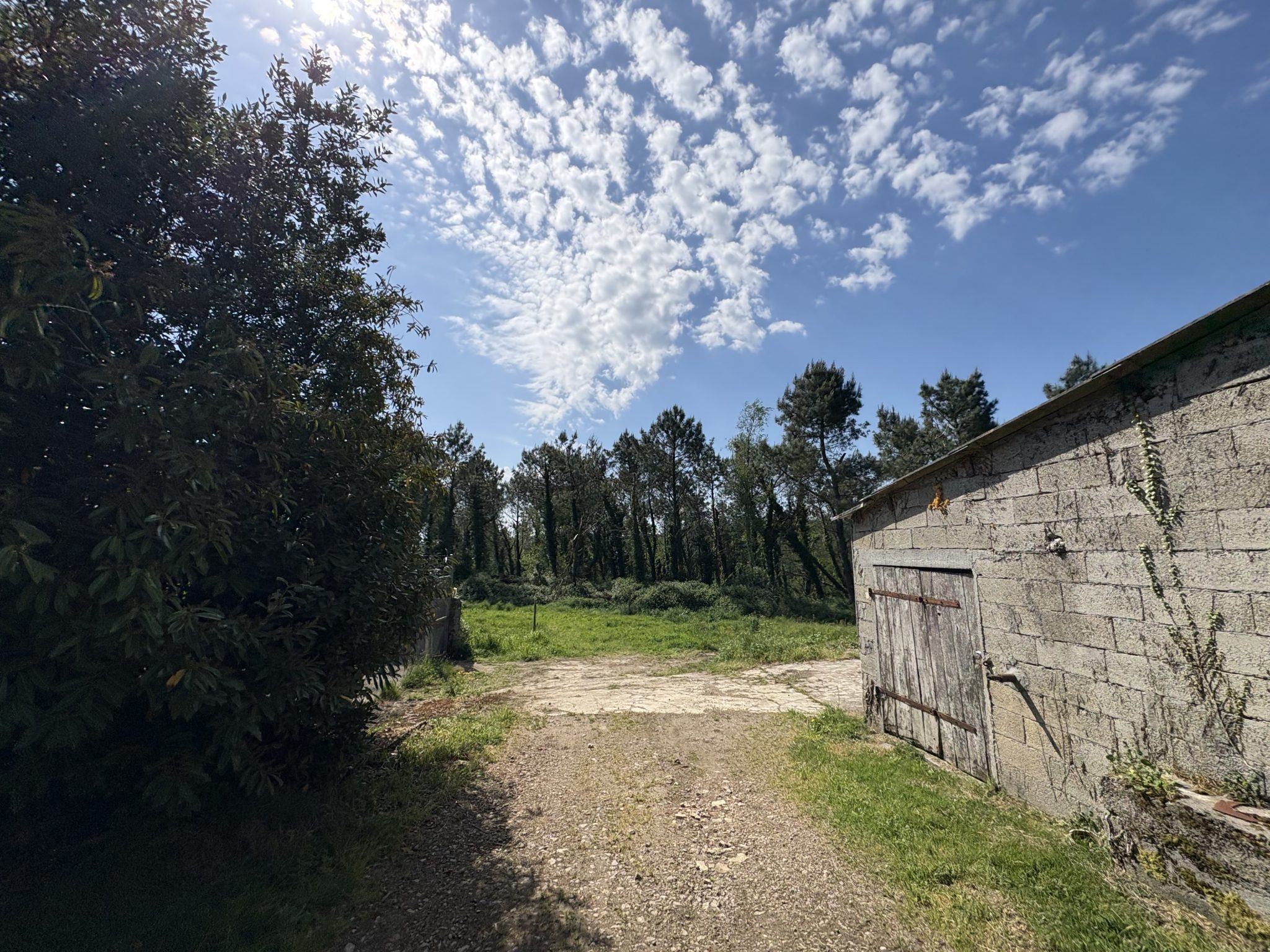 Pluguffan, Rénovation Soignée & Qualitative Pour Cette Longère du XIXème Siècle Totalement Rénovée Sur Parc de 3 Hectares