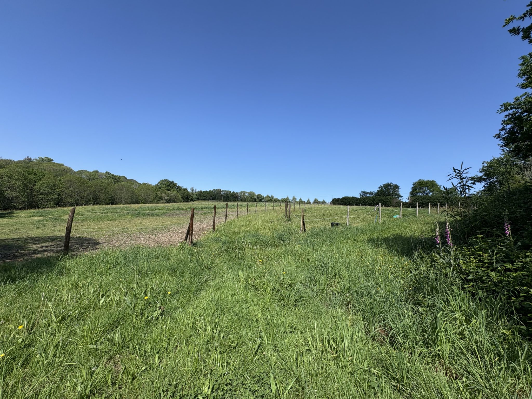 Pluguffan, Rénovation Soignée & Qualitative Pour Cette Longère du XIXème Siècle Totalement Rénovée Sur Parc de 3 Hectares