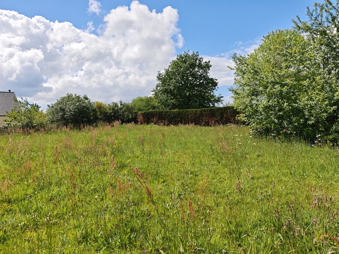 Sainte-Marine. Terrain Constructible de 785 m2 Libre Constructeur, Port  & Plage à Pied.