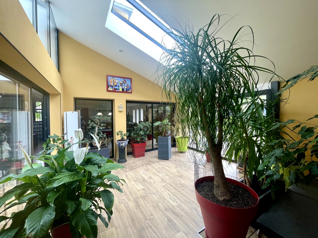 Saint-Armel – Emplacement Stratégique & Volumes XXL Pour Cette Contemporaine de 290 m² Avec Piscine & Ses Deux Appartements Indépendants