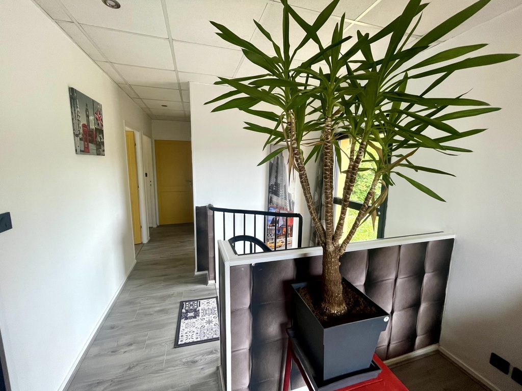 Saint-Armel-Emplacement Stratégique & Volumes Modulables ( 365m²) Pour Cette Contemporaine Avec Piscine & Jacuzzi