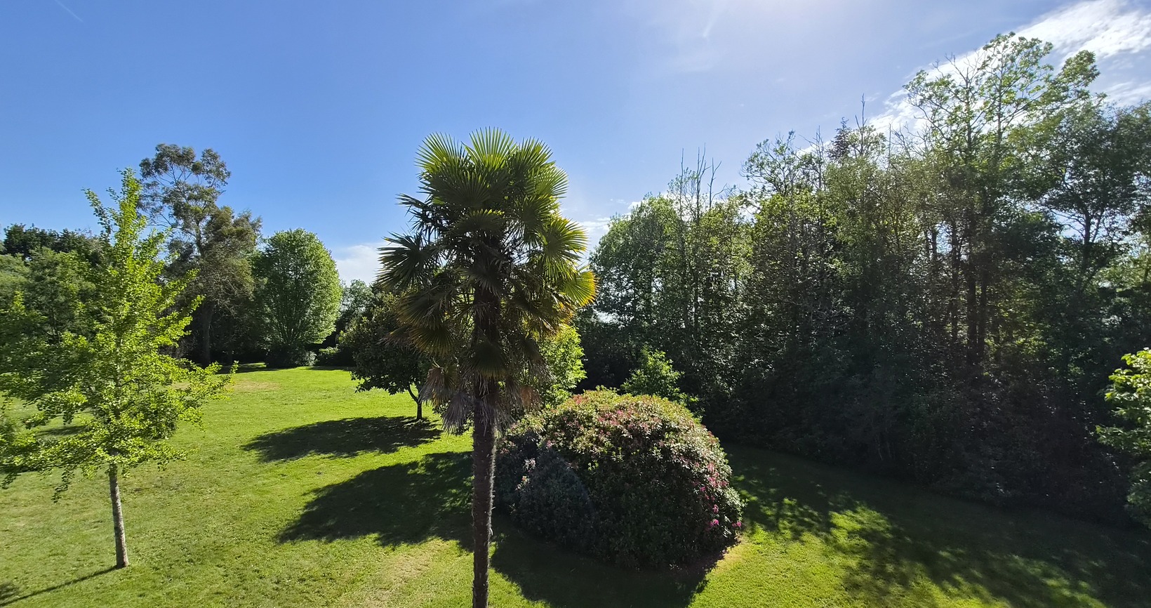 Gouesnach- L’Authentique Maison Familiale de 244m² Sur Parc Arboré d’1 Hectare & Sans Vis-À-Vis