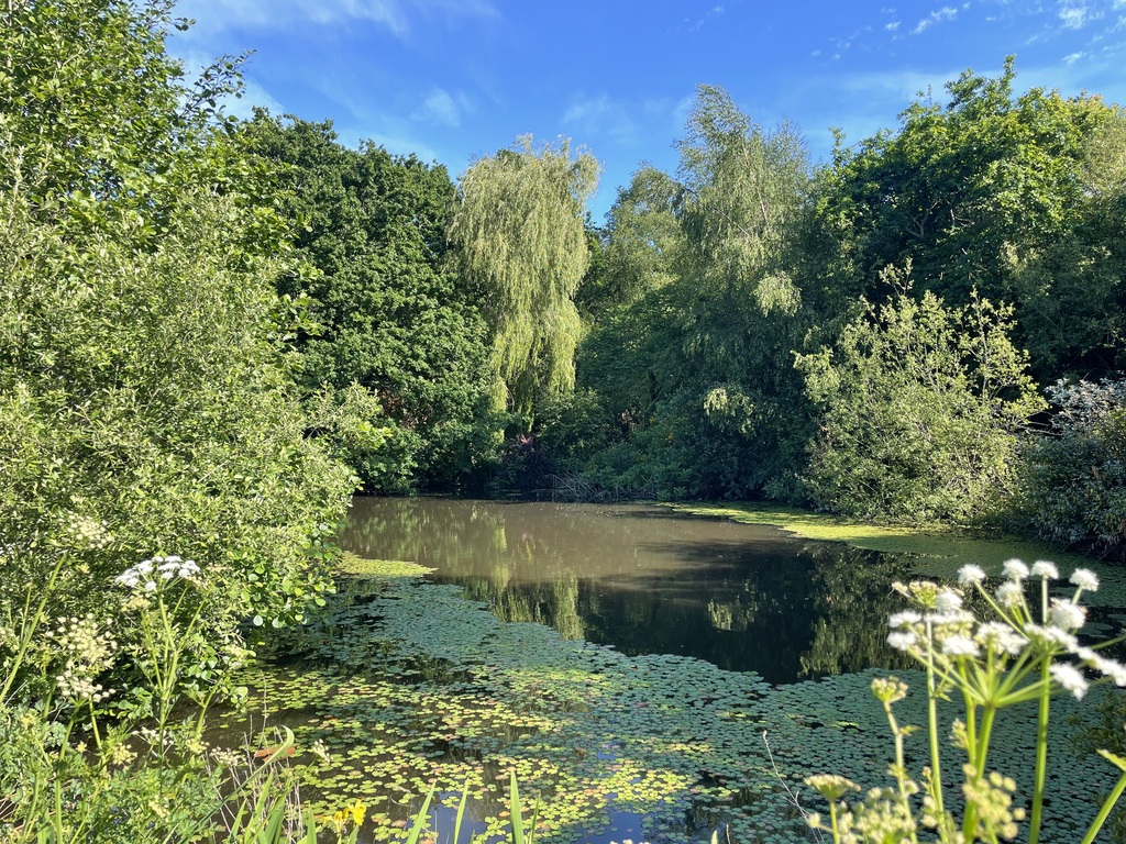 Douarnenez “Le Juch” – Maison Familiale avec Vie de Plain-Pied sur Terrain d’Exception avec Etang