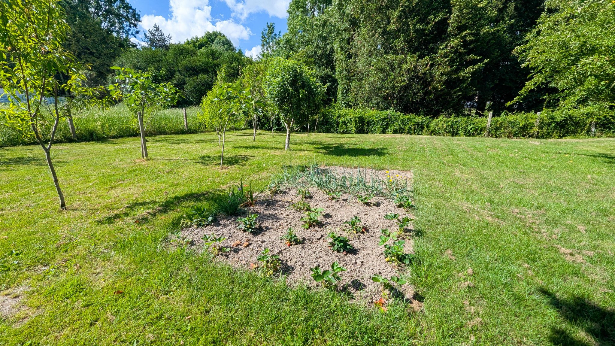 Ploërmel Hypercentre – La Maison De Plain-Pied (104 m²) Rare & Évolutive Sur Grand Terrain Arboré