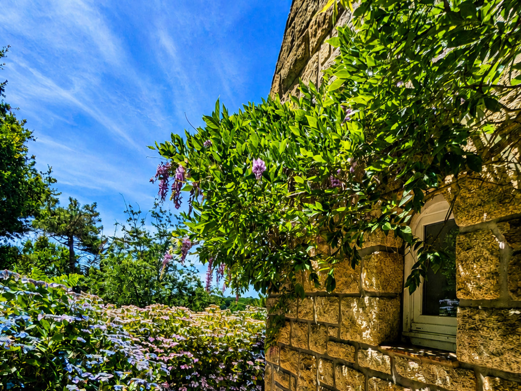 La Charismatique Maison de Caractère face à l’Aven, au Cœur d’un Environnement Naturel Préservé de 2.5ha