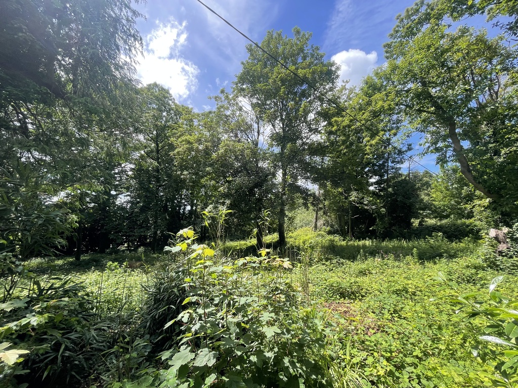 Le Juch – Charmante Maison Traditionnelle à Rénover avec jardin de 3500 m² Entre Douarnenez & Quimper