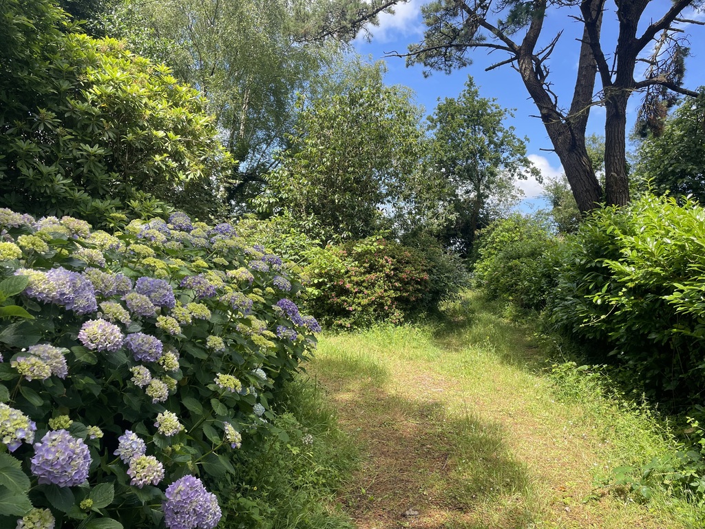 Le Juch – Charmante Maison Traditionnelle à Rénover avec jardin de 3500 m² Entre Douarnenez & Quimper