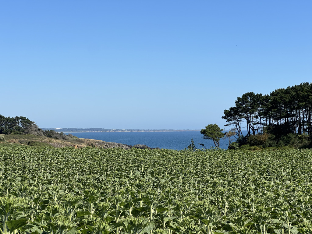 Clohars-Carnoët (Doëlan): 10 Hectares Face À La Mer & Un Ensemble Immobilier De 500m² À Réinventer