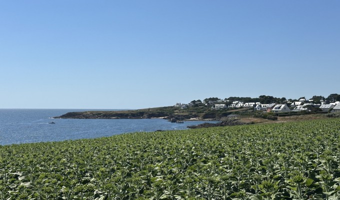 Clohars-Carnoët (Doëlan): 10 Hectares Face À La Mer & Un Ensemble Immobilier De 500m² À Réinventer