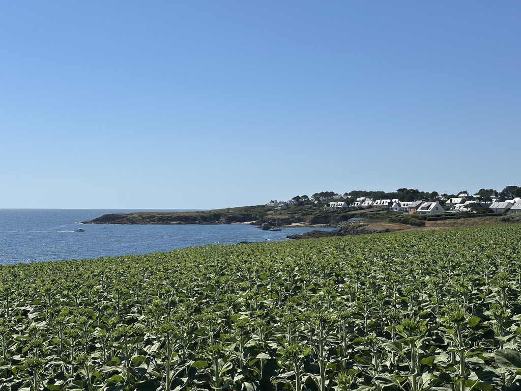 Clohars-Carnoët (Doëlan): 10 Hectares Face À La Mer & Un Ensemble Immobilier De 500m² À Réinventer