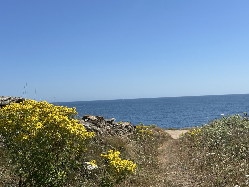 Clohars-Carnoët (Doëlan): 10 Hectares Face À La Mer & Un Ensemble Immobilier De 500m² À Réinventer