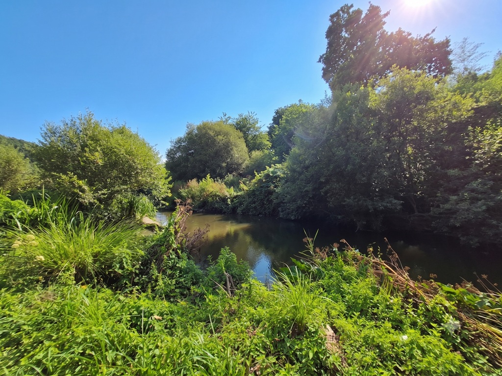 TREMEOC, Sur le Plan d’eau de Moulin Neuf, L’Opportunité Rarissime d’un Moulin avec Son terrain de plus d’un Hectare