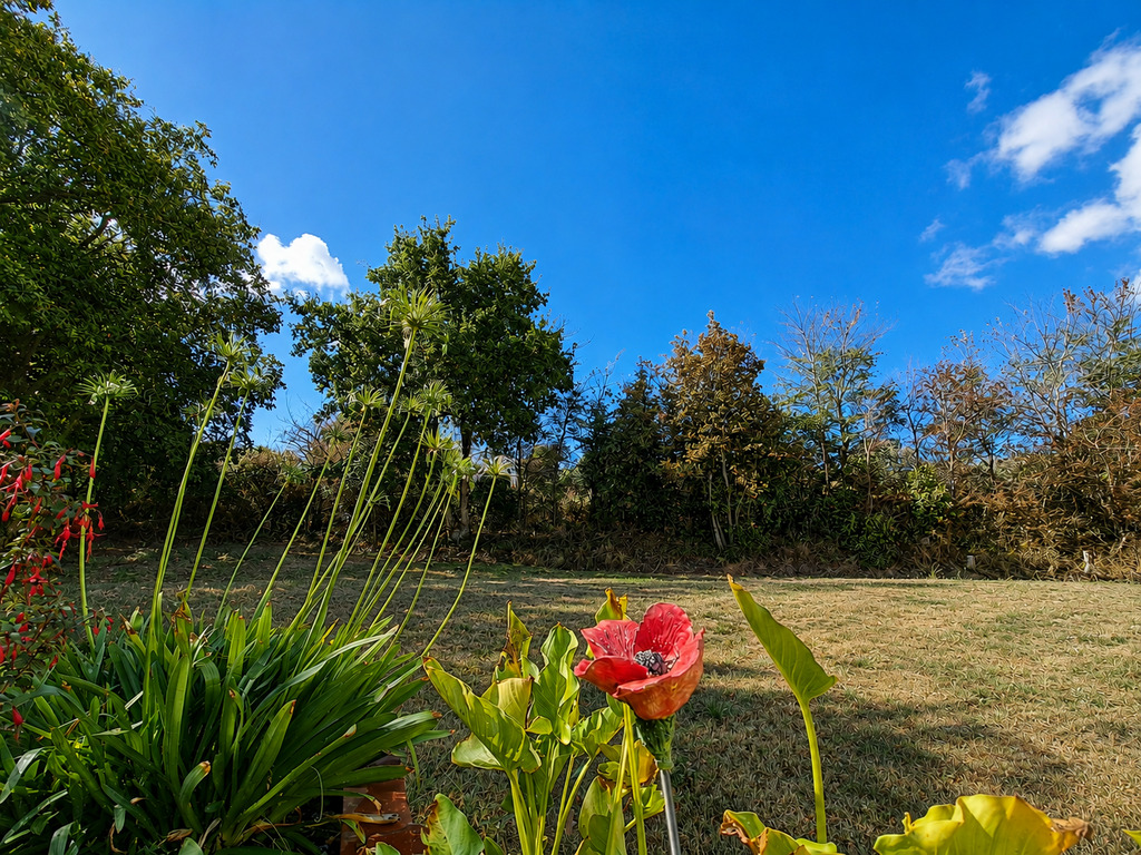Belz – L’Elégante & Lumineuse Maison d’Architecte Sur Terrain Paysagé de 1300m²