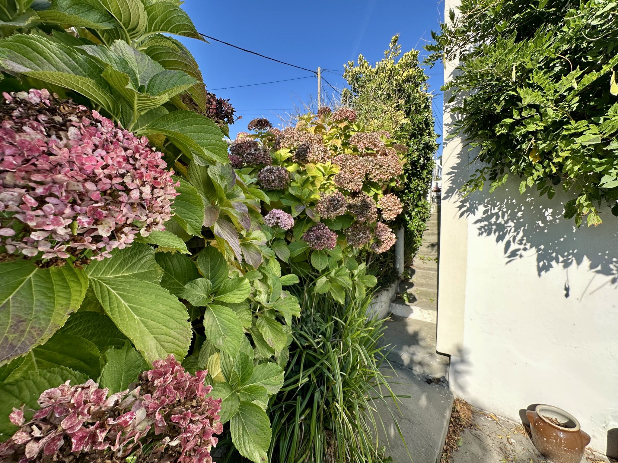 Audierne – Caractère & Lumineuse, à Deux Pas des Rives du Goyen & Centre-Ville à Pied